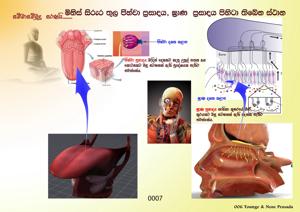 0007 ජිහ්වා සහ ඝ්‍රාණ ප්‍රසාද.jpg